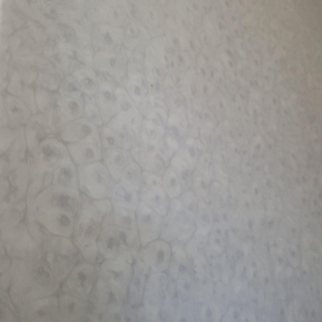 石材？人工？テーブル　静岡市　お値下げ不可