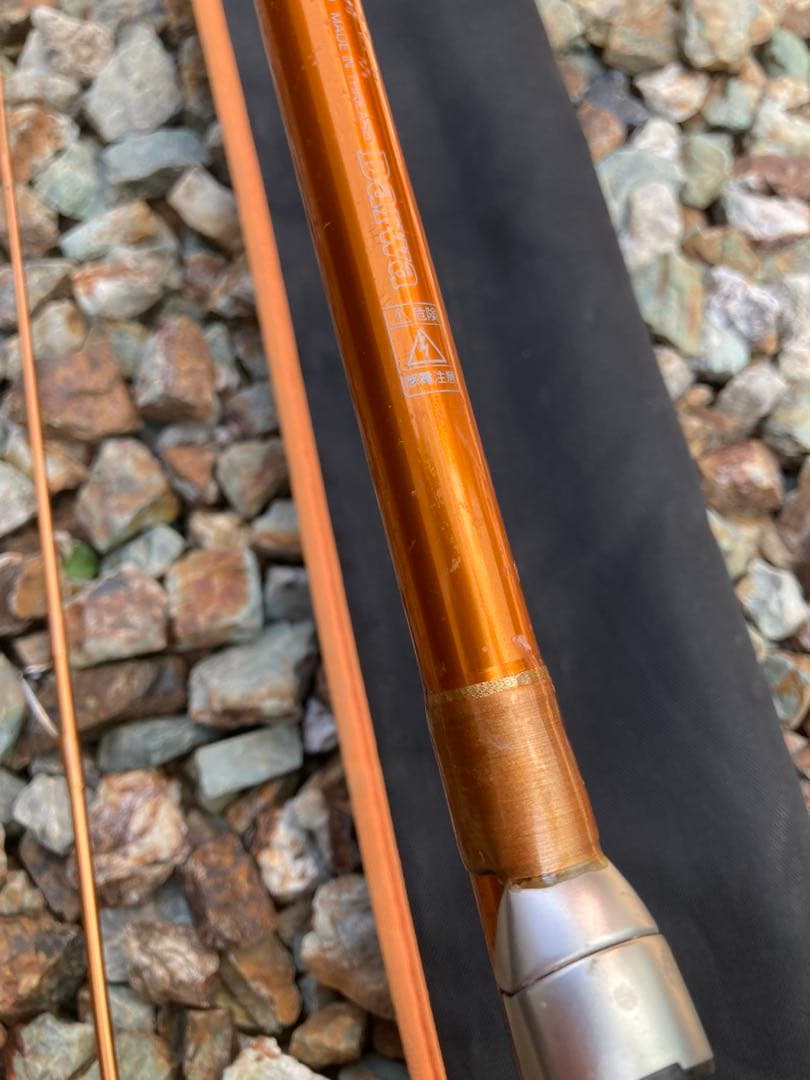 リール Daiwa CAST'IZM 18-295 TOURNAMENT SURF 35