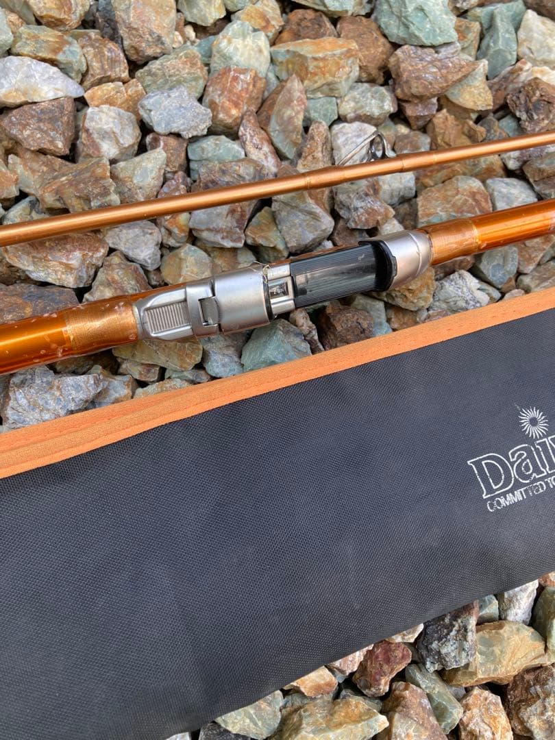 リール Daiwa CAST'IZM 18-295 TOURNAMENT SURF 35