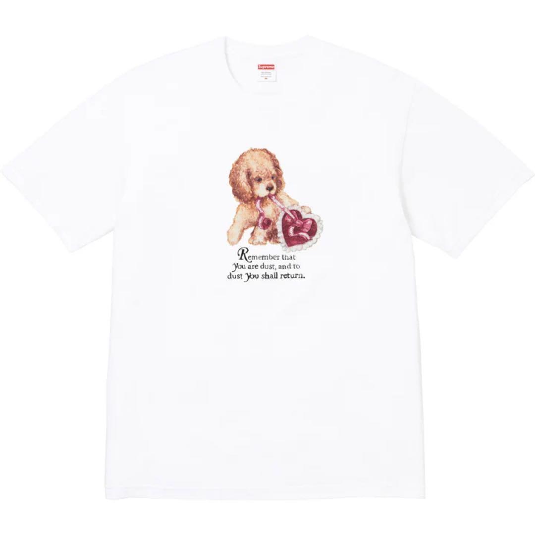 トップス Supreme Dust Tee \