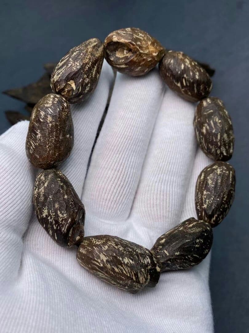 ダラガン天然野生むし虫ろー漏沉香 ゆし油脂がほーふ豊富である いいにおい匂いだ