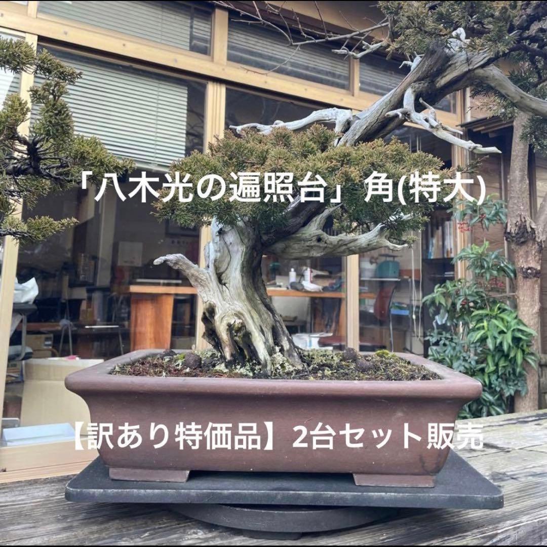 【訳あり特価B】盆栽回転台2台 「八木光の遍照台」角(特大)50×36【送料込】