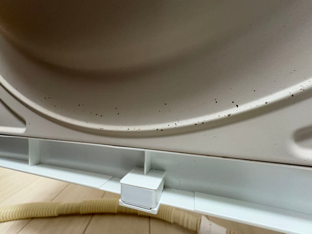 電気衣類乾燥機　5.0kg HITACHI DE-N50WV(W) 2019年製