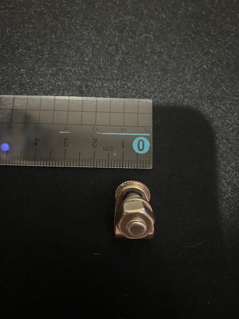 あるじゃん　ボルト　ピアス