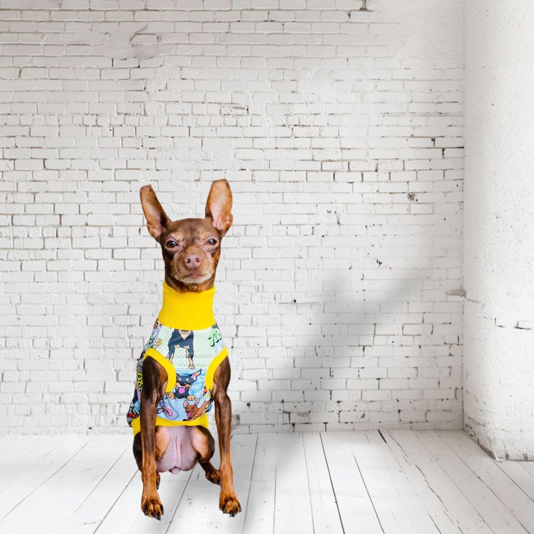 ⑮ミニピン、ミニピンを纏う　　　　　　　 　イタグレ、イタグレを纏う