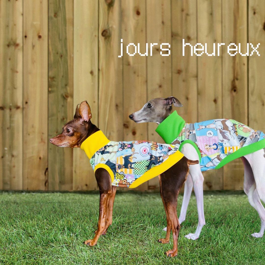 ⑮ミニピン、ミニピンを纏う　　　　　　　 　イタグレ、イタグレを纏う