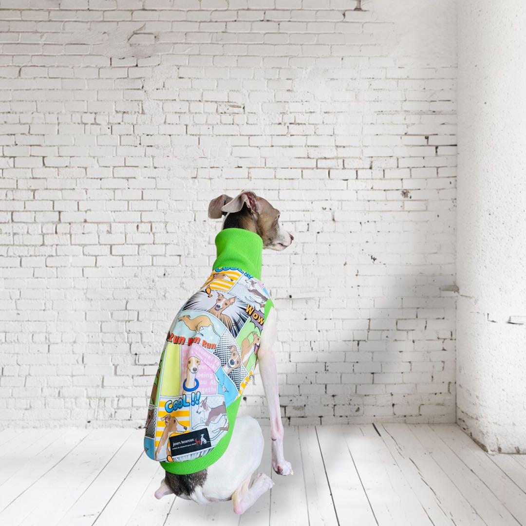 ⑮ミニピン、ミニピンを纏う　　　　　　　 　イタグレ、イタグレを纏う