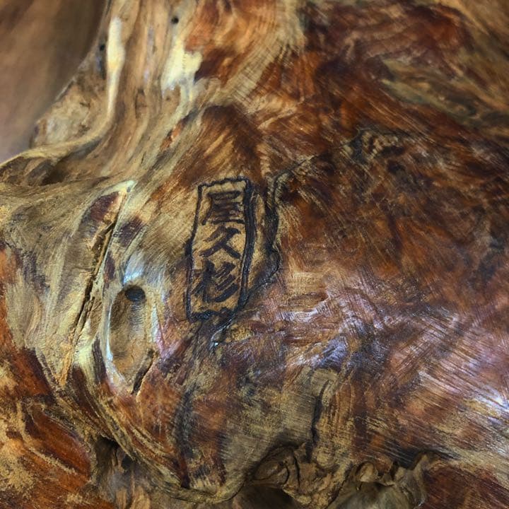 屋久杉　瘤