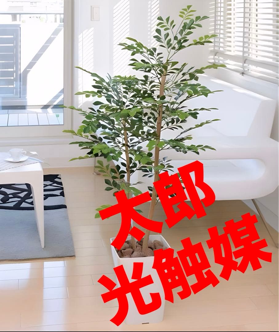 光触媒　人工観葉植物　ウォールグリーン　フェイクグリーン　トネリコ高さ1.2