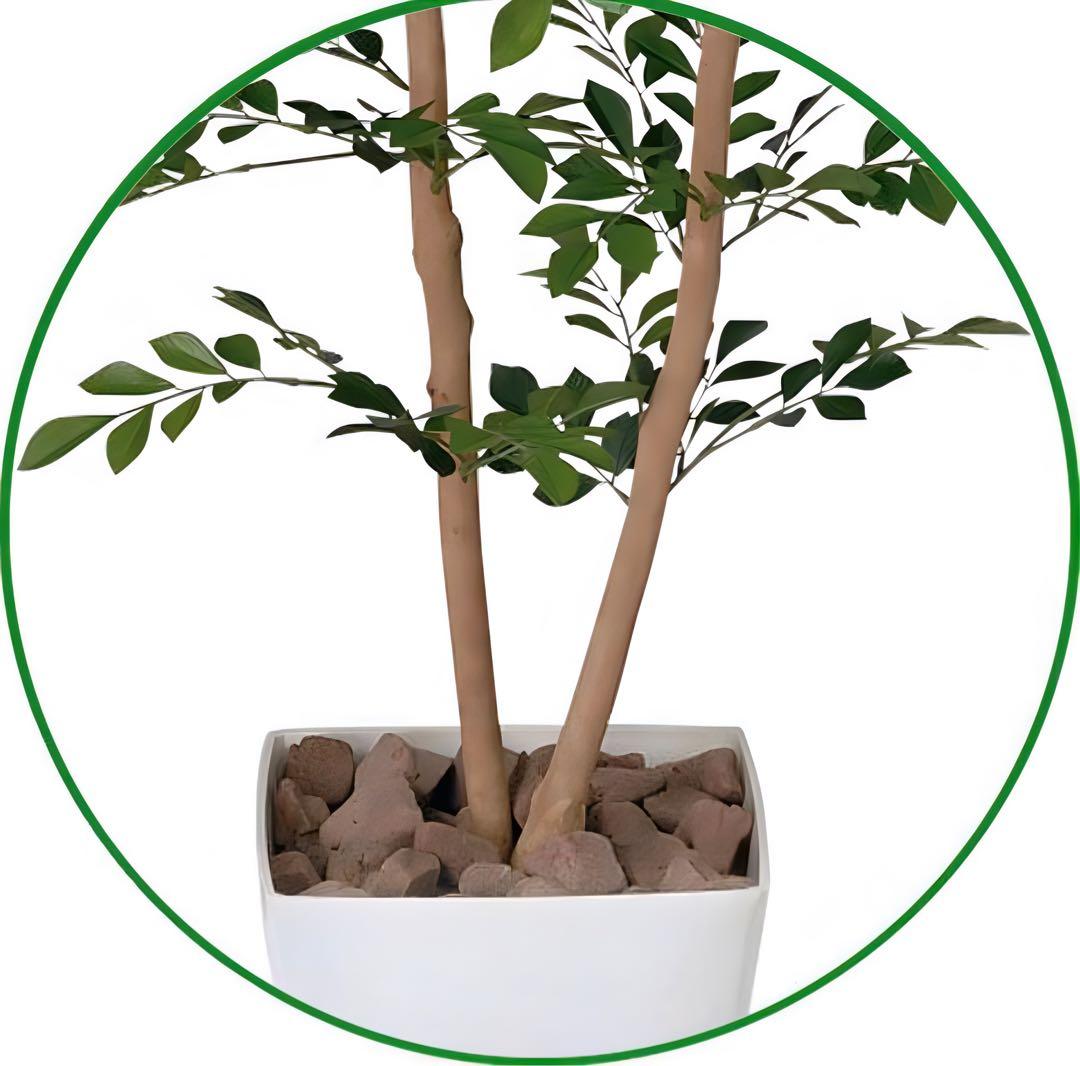 光触媒　人工観葉植物　ウォールグリーン　フェイクグリーン　トネリコ高さ1.2