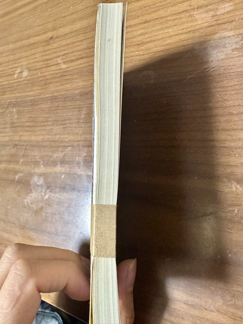 て*ん様 板垣退助 百円札 帯封 日本銀行券 旧紙幣 古紙幣　100円札100枚