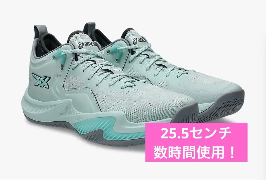 【最終値下げ！】25.5cm 超美品！NOVA SURGE LOW2