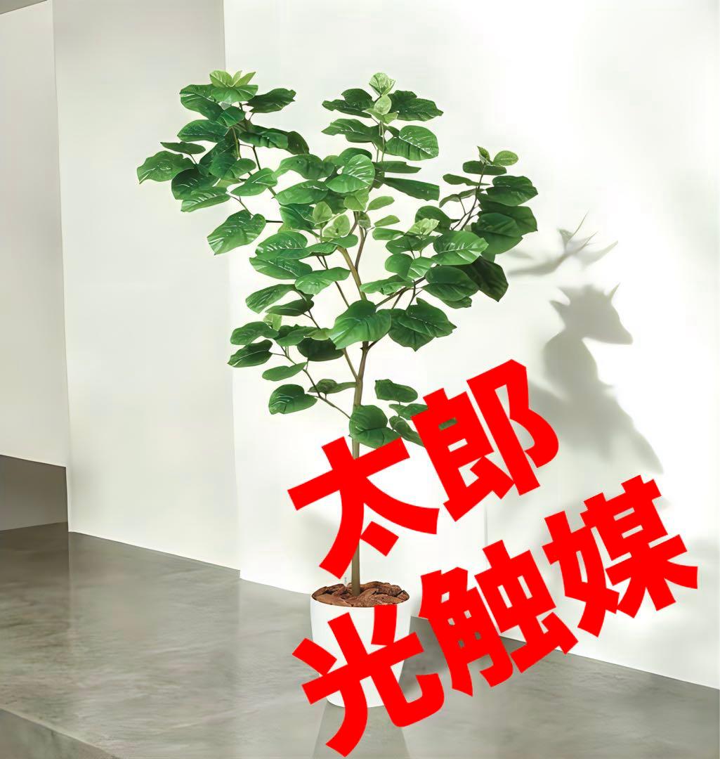 光触媒　人工観葉植物　ウォールグリーン　フェイクグリーン　ウンベラータFST