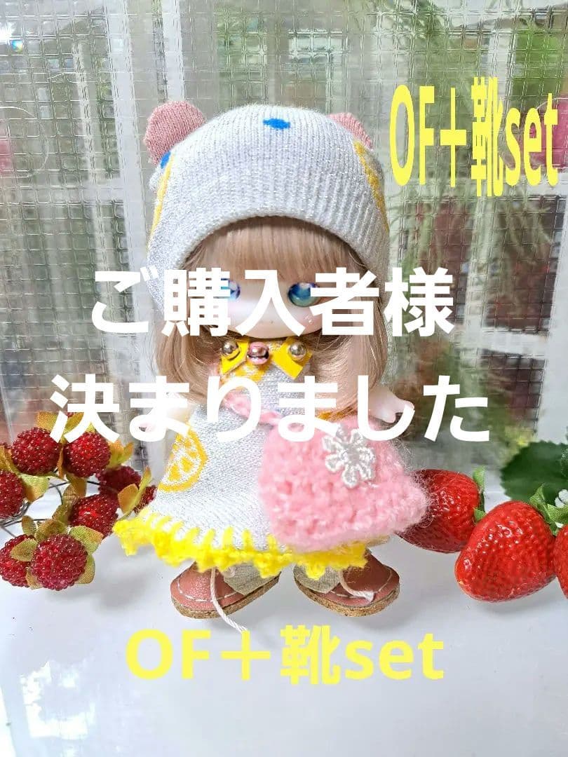 sale☆子犬わたあめ13㎝用☆アウトフィットP＋たっち靴☆４点set☆