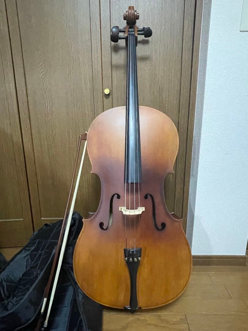 Hallstatt ハルシュタット　引き取りのみ