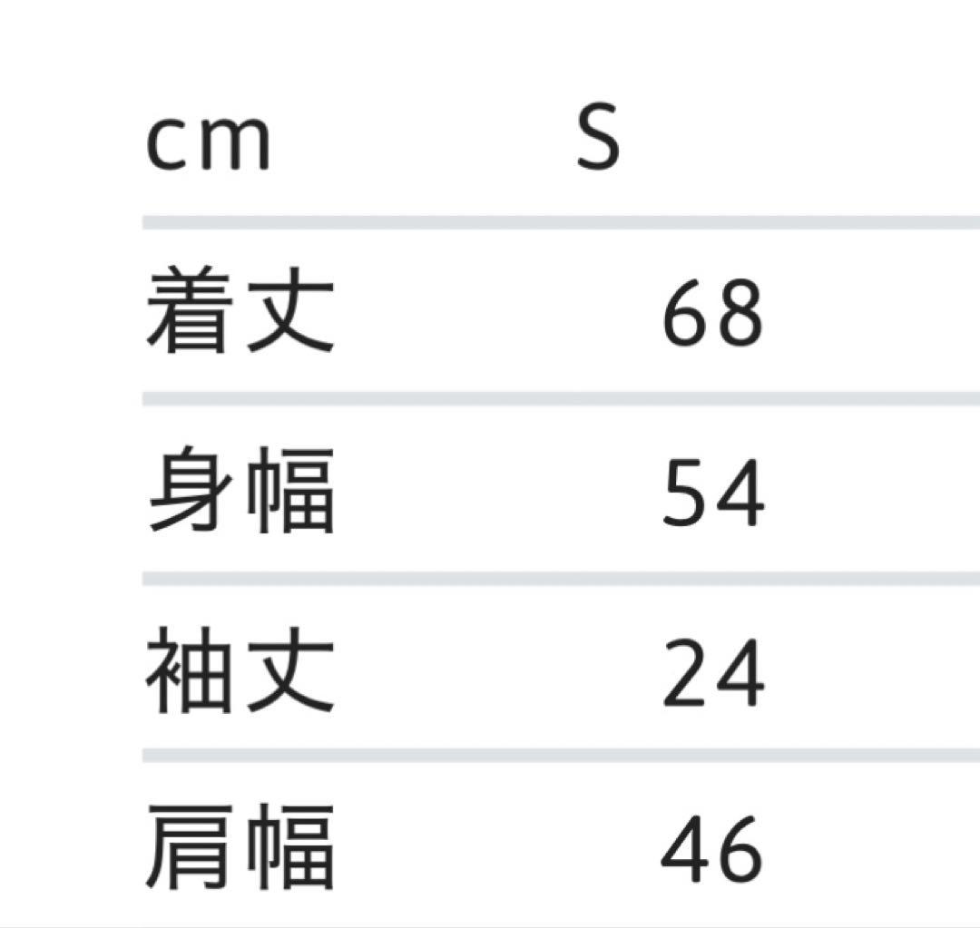 Supreme 迷彩　TシャツCapital S/S Top