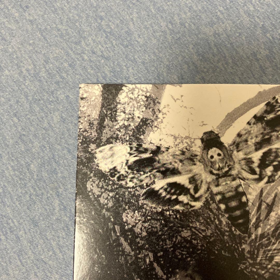 毛皮のマリーズ Gloomy LP レコード 新品未使用品