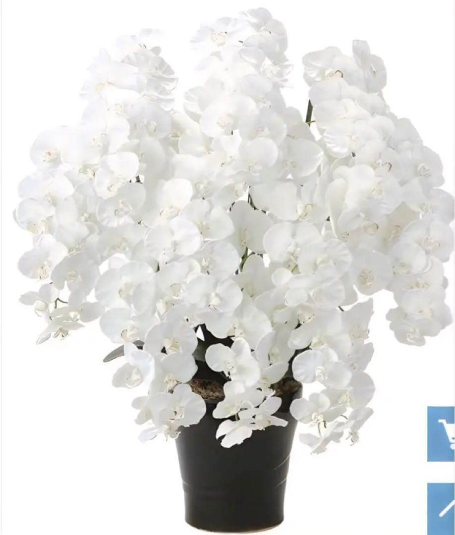 光触媒　人工観葉植物　プレミアム胡蝶蘭１０本立W 高さ90cm