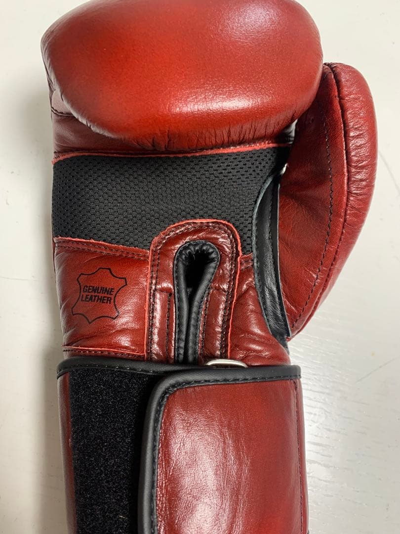 新品未使用TITLE SBG 16RD ボクシンググローブ16oz