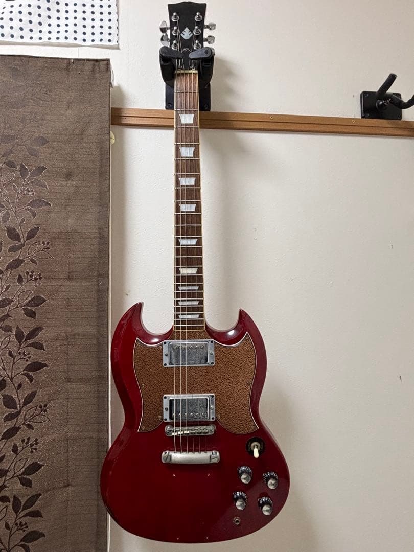 h*k様 SGタイプ　メーカー不明