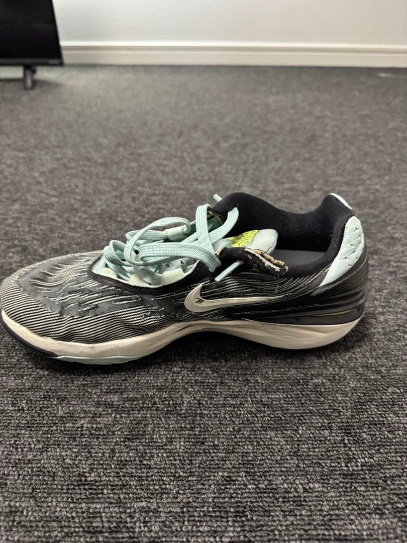 ナイキ AIR ZOOM GT CUT 2 EP 27cm