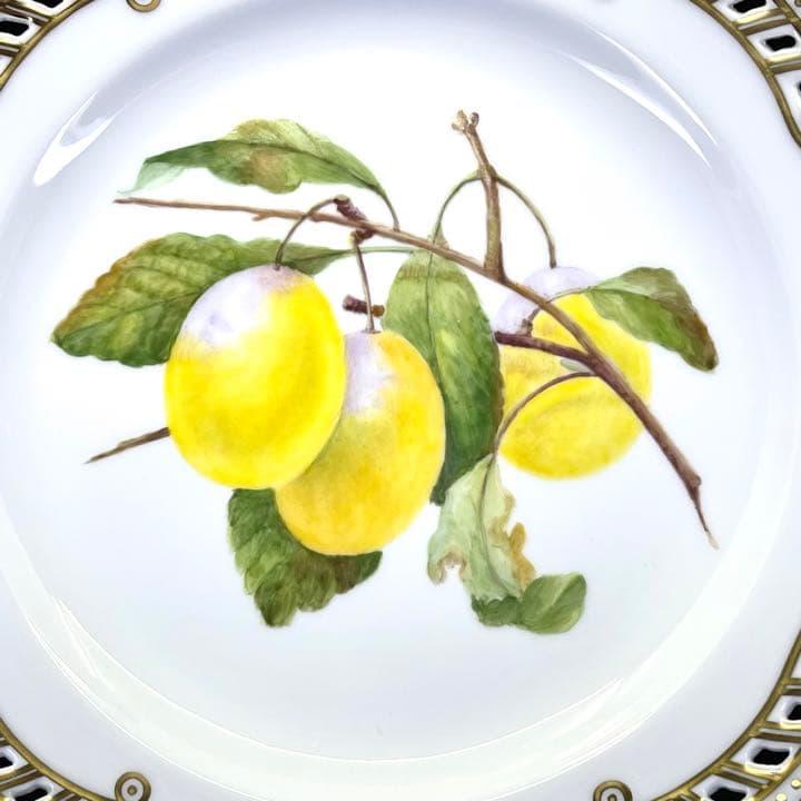 ★超希少★ロイコペ フローラダニカ フルーツサービス