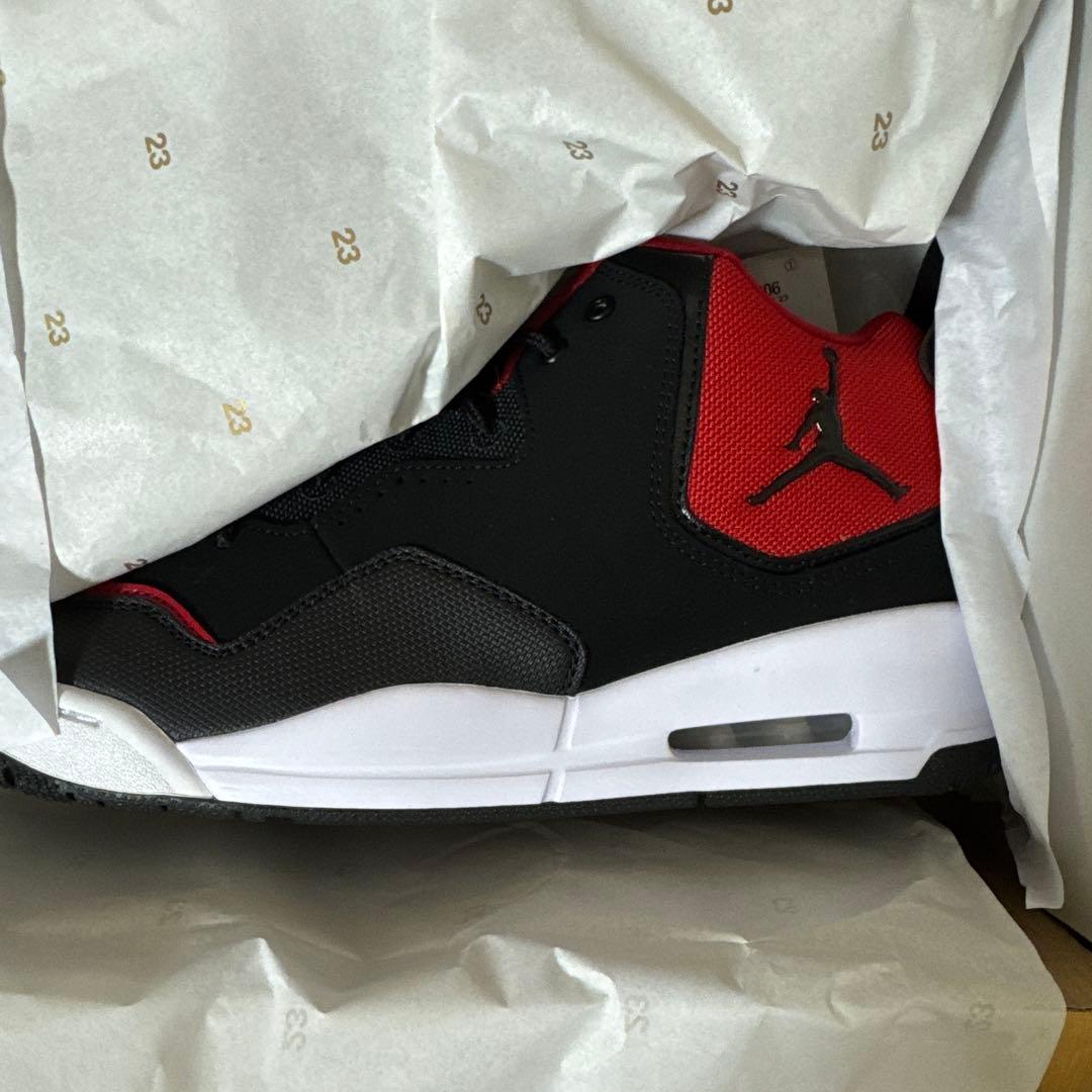 ★ラオウ★【新品】ナイキ ジョーダンコートサイド23 29cm