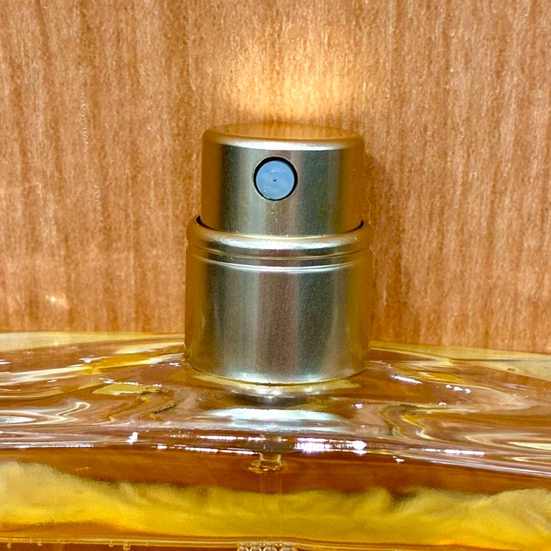 CHANEL シャネル 香水 ガブリエル 100ml