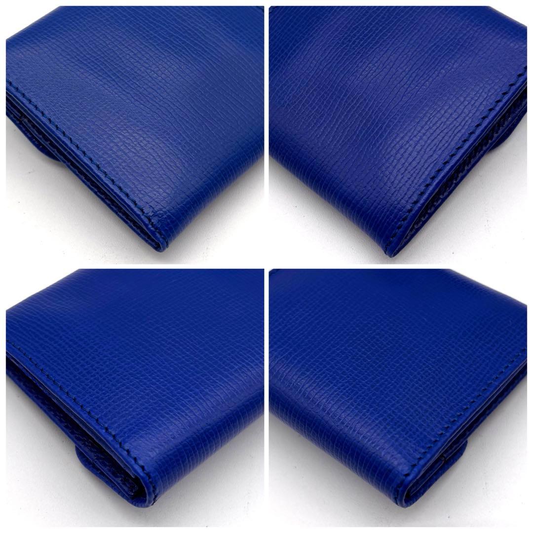 ✨極美品✨希少デザイン✨ ヴァレクストラ　ケース　ロイヤルブルー