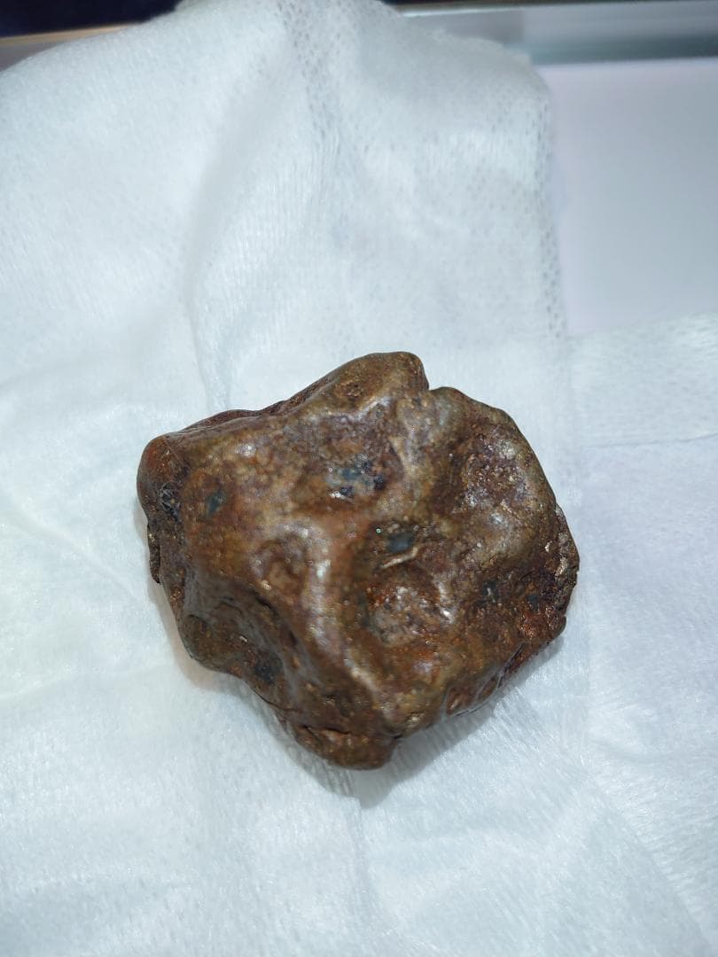 隕石 Sijoté-Alín. 189gr.