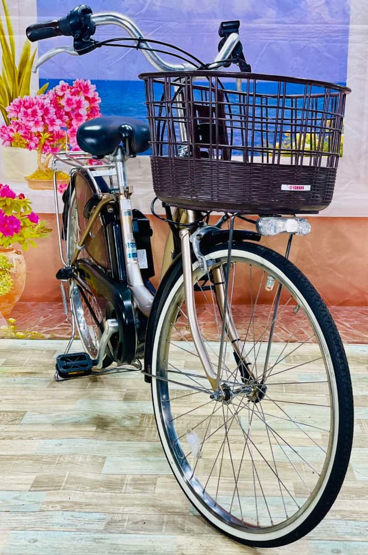 日淘市集公式アカウント08　Y2446 アシスタ⭐️ 激レア24インチ ブ