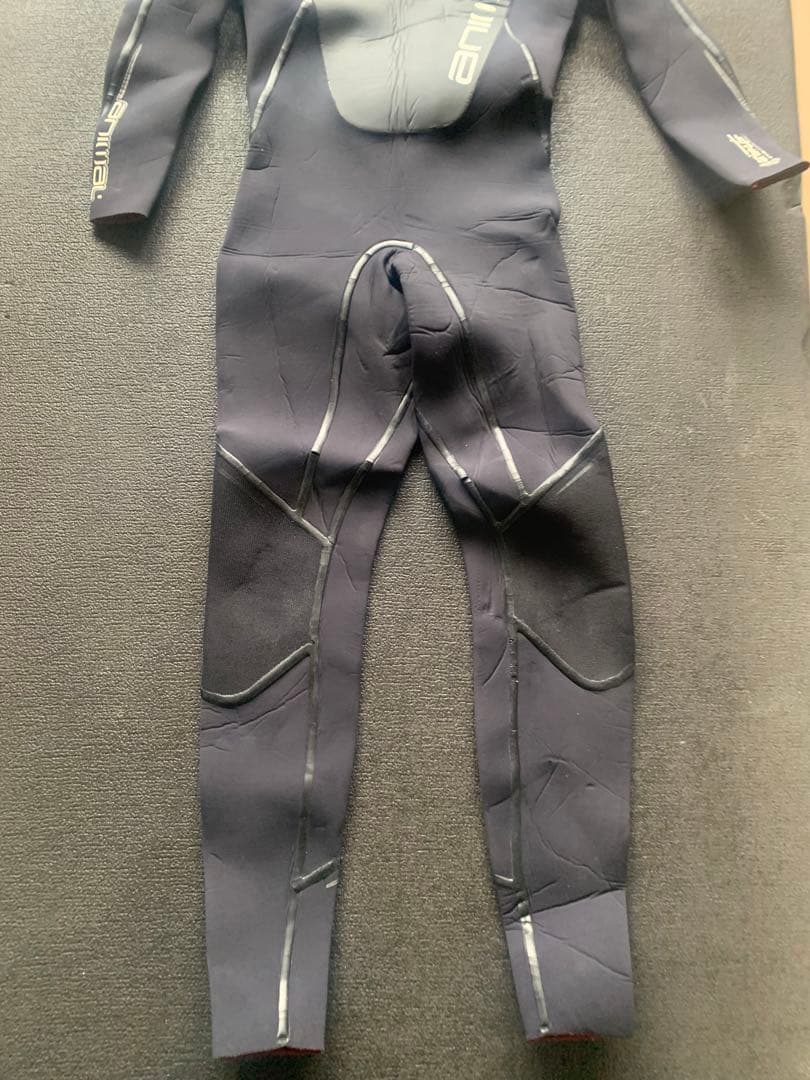 Animal￼ウェットスーツ　サイズM 2mm