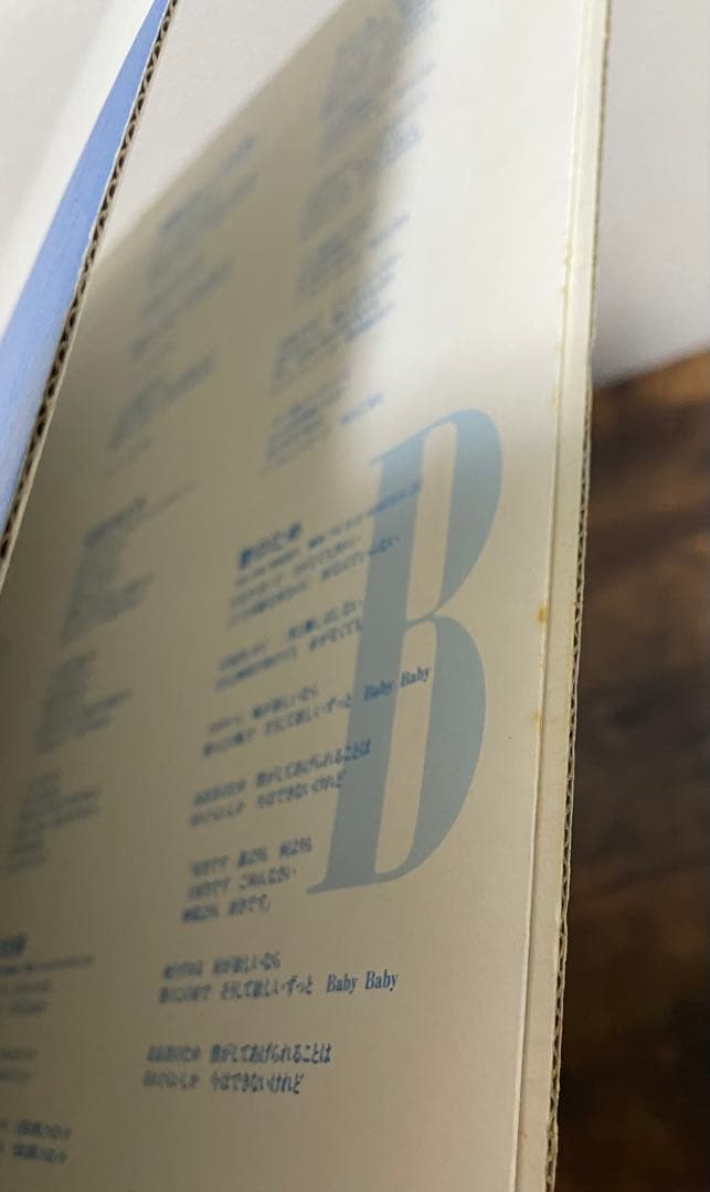 The Blue Hearts レコード　LP オリジナル