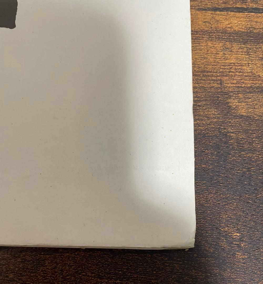 The Blue Hearts レコード　LP オリジナル