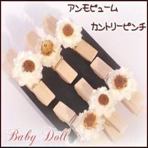 ６ケ入りドライフラワーアンモビュー厶☆ カントリーピンチ