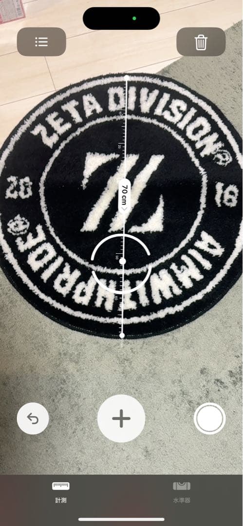 ラグ・カーペット ZETA DIVISION VARCITY RUG MAT