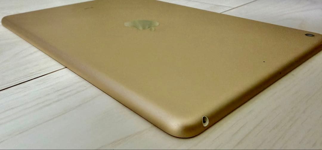 極美品 修理歴無【動作確認・初期化済】iPad 第5世代 128GB A1822