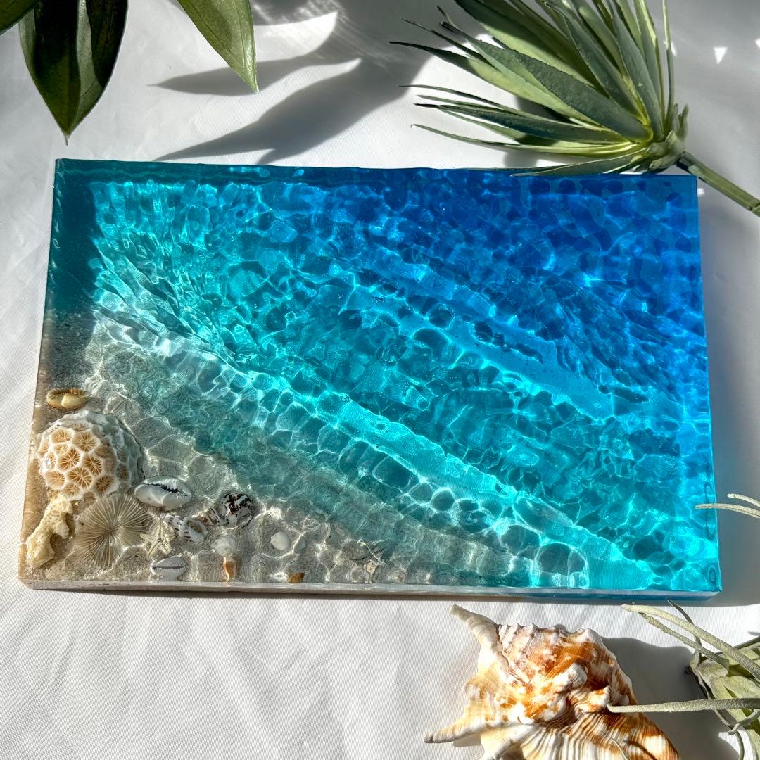 海の置き物　インテリアアート　オーシャンアート　南国　珊瑚　貝殻