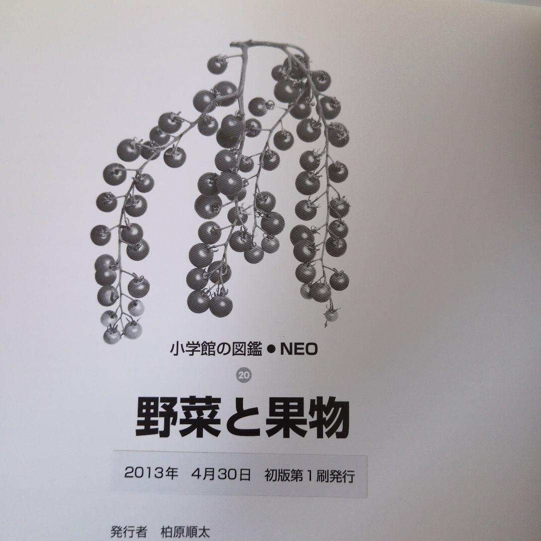 【15冊セット】小学館の図鑑NEO　まとめ売り DVD無し小学校の図鑑ネオ
