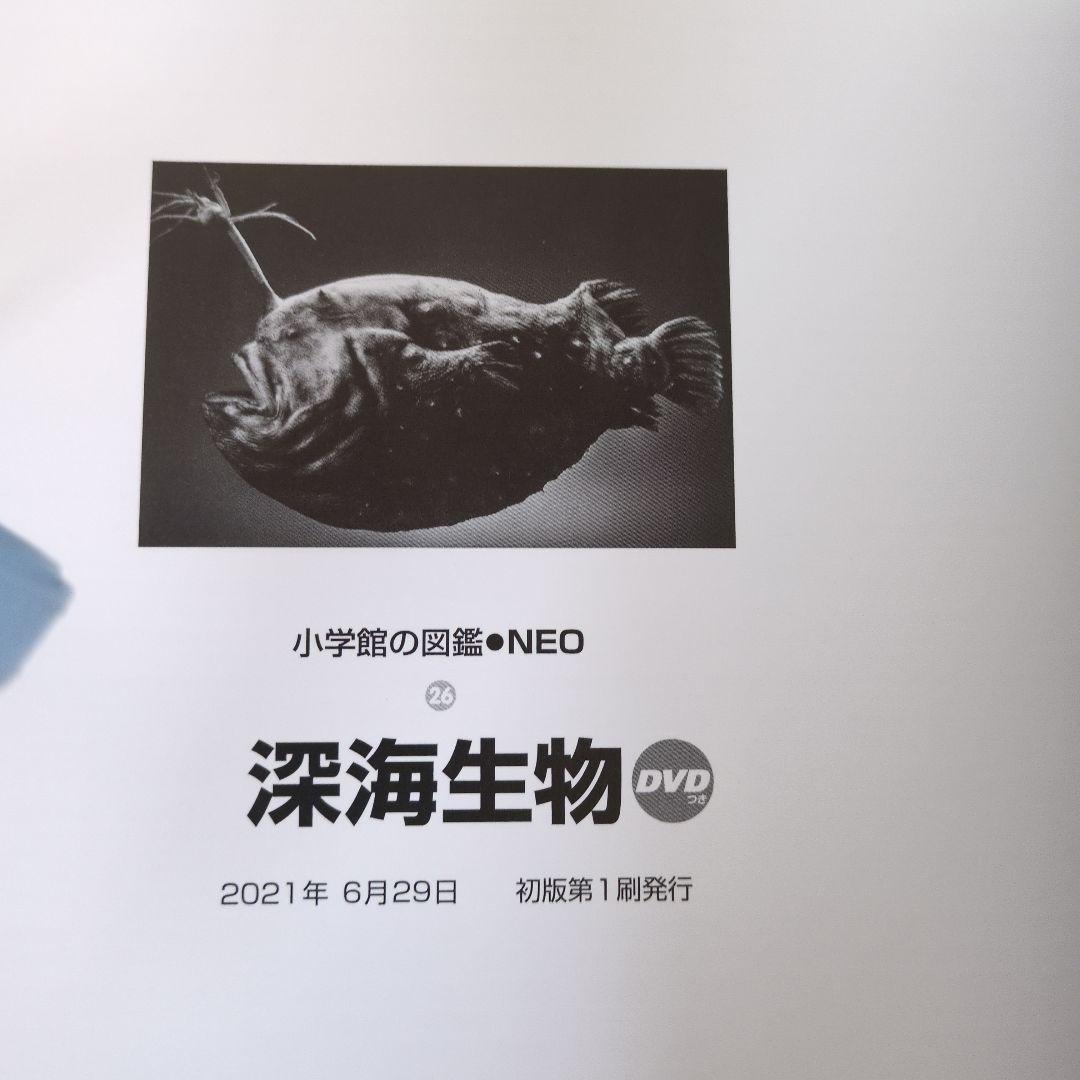 【15冊セット】小学館の図鑑NEO　まとめ売り DVD無し小学校の図鑑ネオ