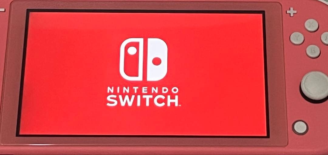 任天堂スイッチ Switch Lite