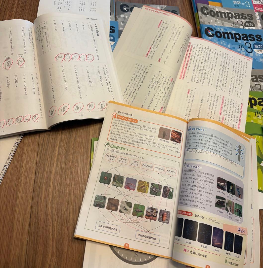 早稲田アカデミー　小3 1年分　プレ・春期　算数国語　理科　社会　早稲アカ　3年