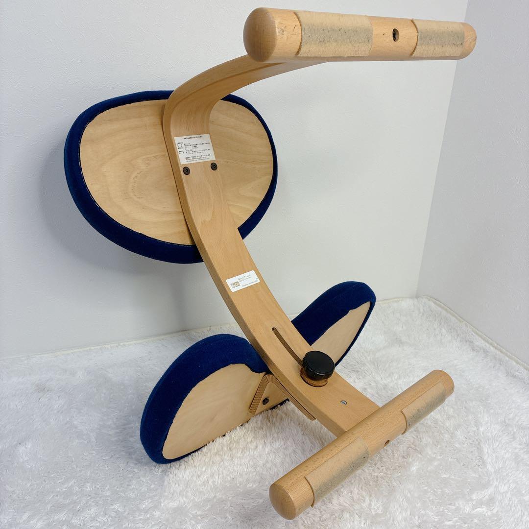 【極美品】 バランスイージー 通常フレーム 防水カバー付き ブルー