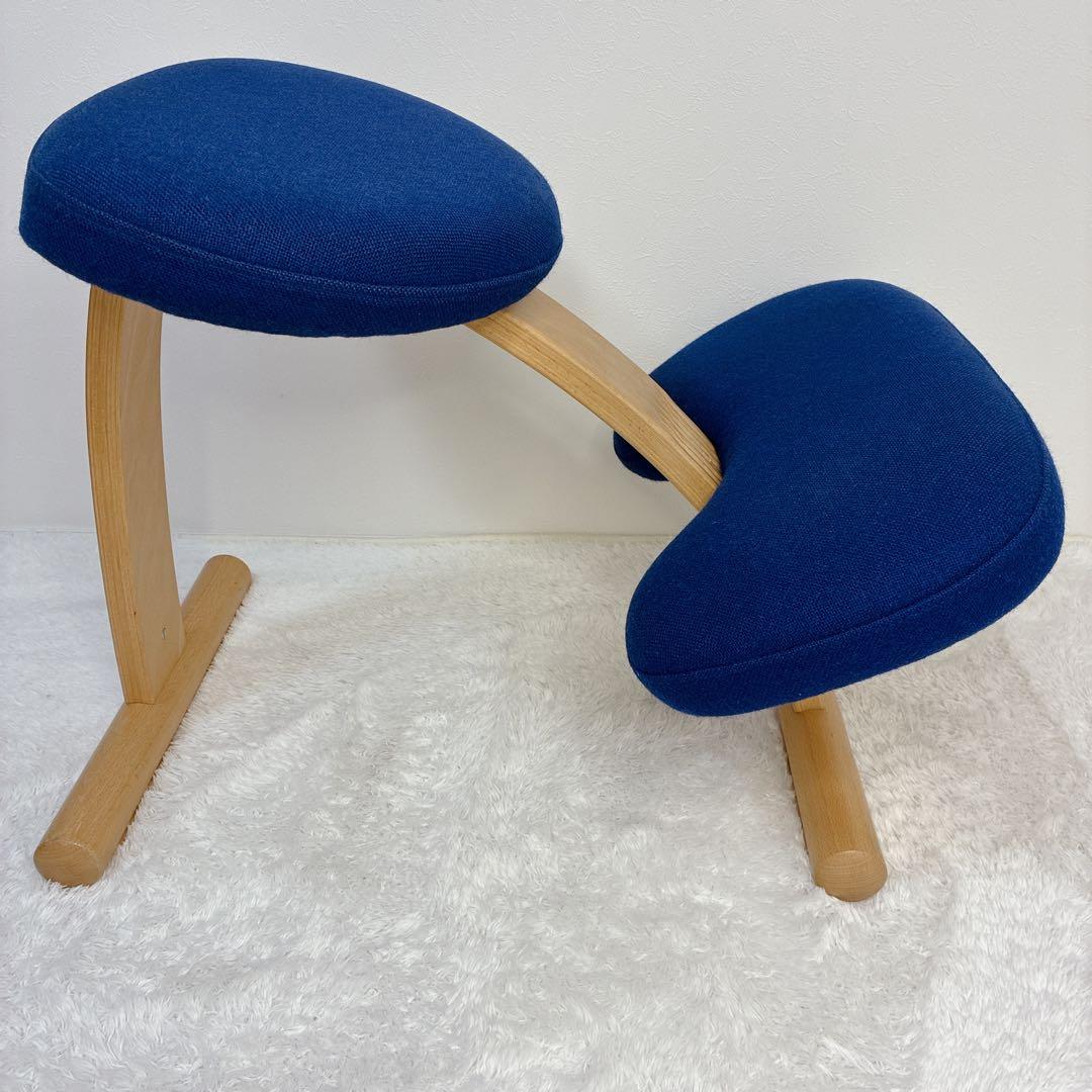 【極美品】 バランスイージー 通常フレーム 防水カバー付き ブルー