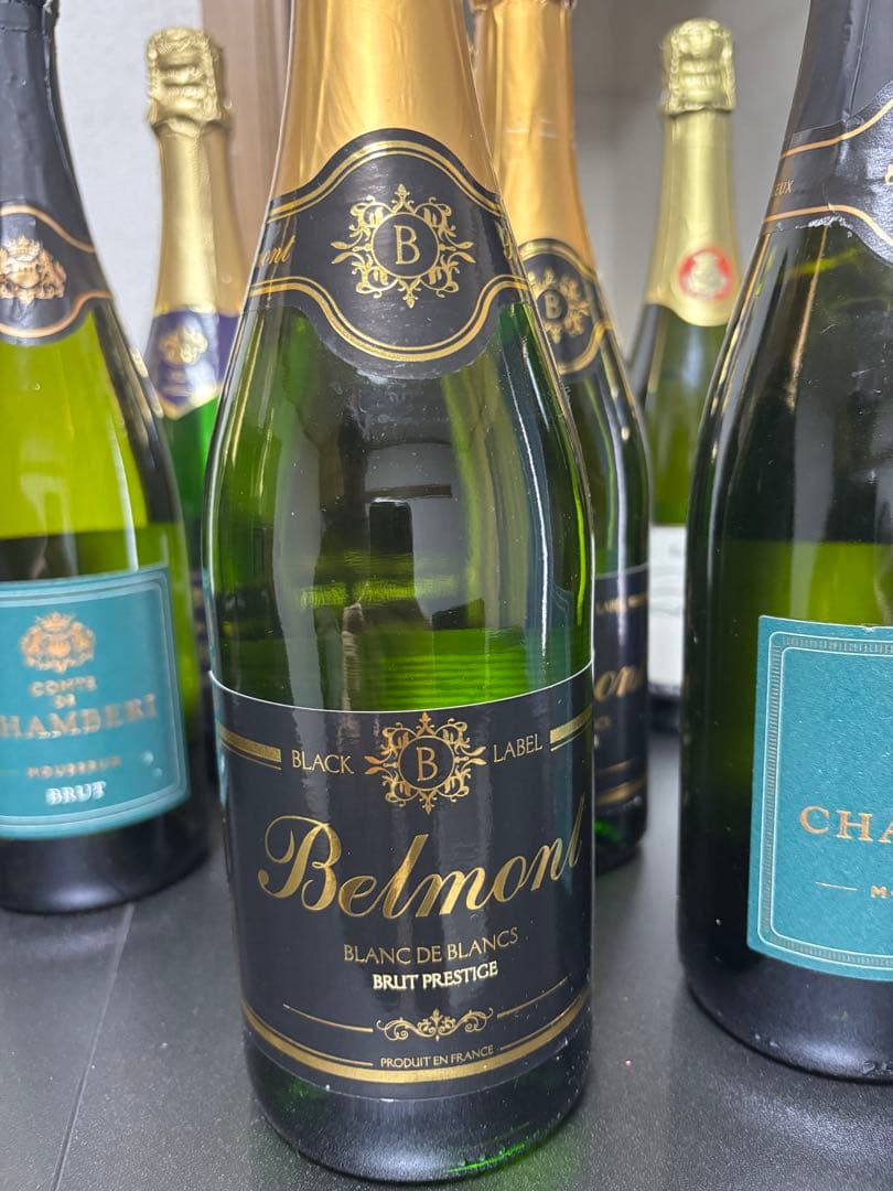 【13本セット・訳あり】スパークリングワイン詰め合わせ（フランス・イタリア他）