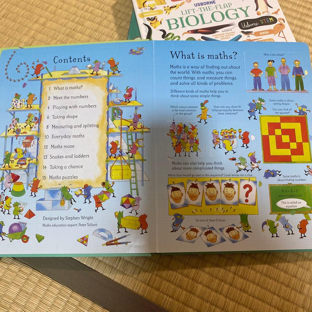 英語絵本Usborne フラップ絵本セット 6冊