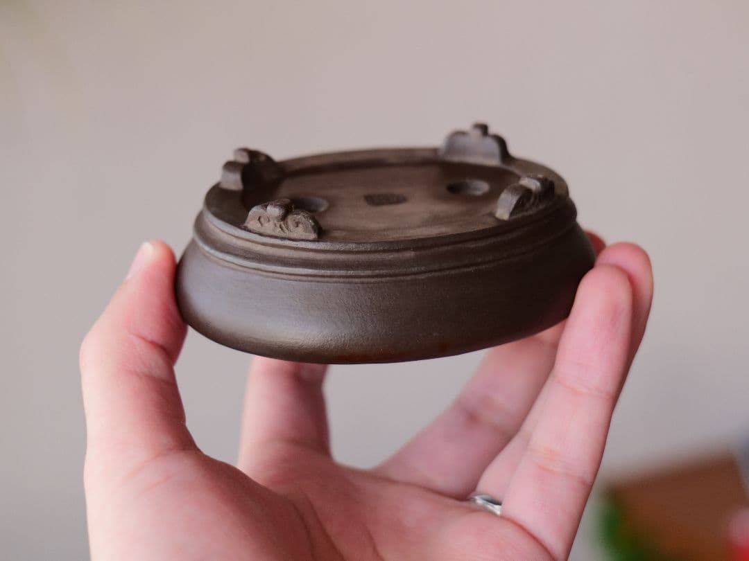 【植松陶翠】紫泥内縁楕円鉢