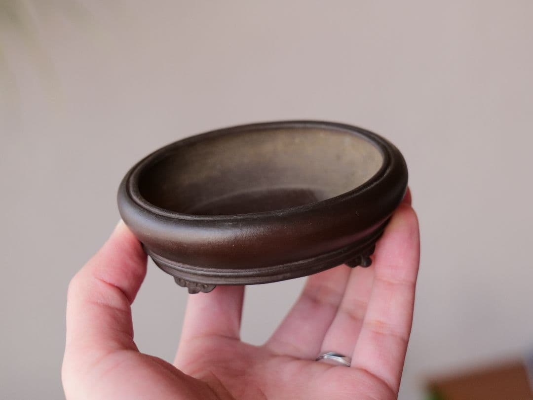 【植松陶翠】紫泥内縁楕円鉢