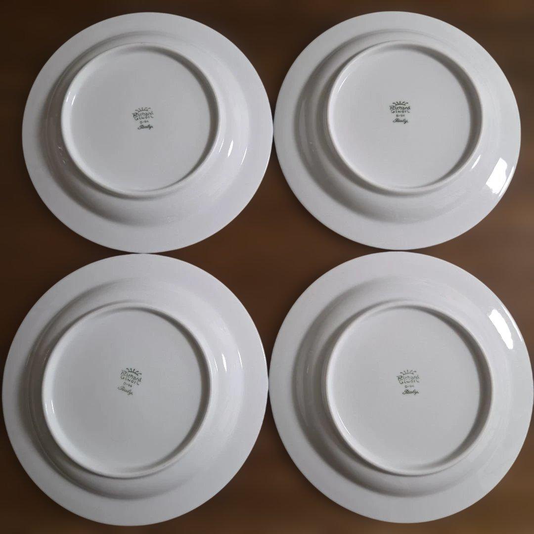 【美品】リチャードジノリ　 　　　　クリッパー　プレート　21cm