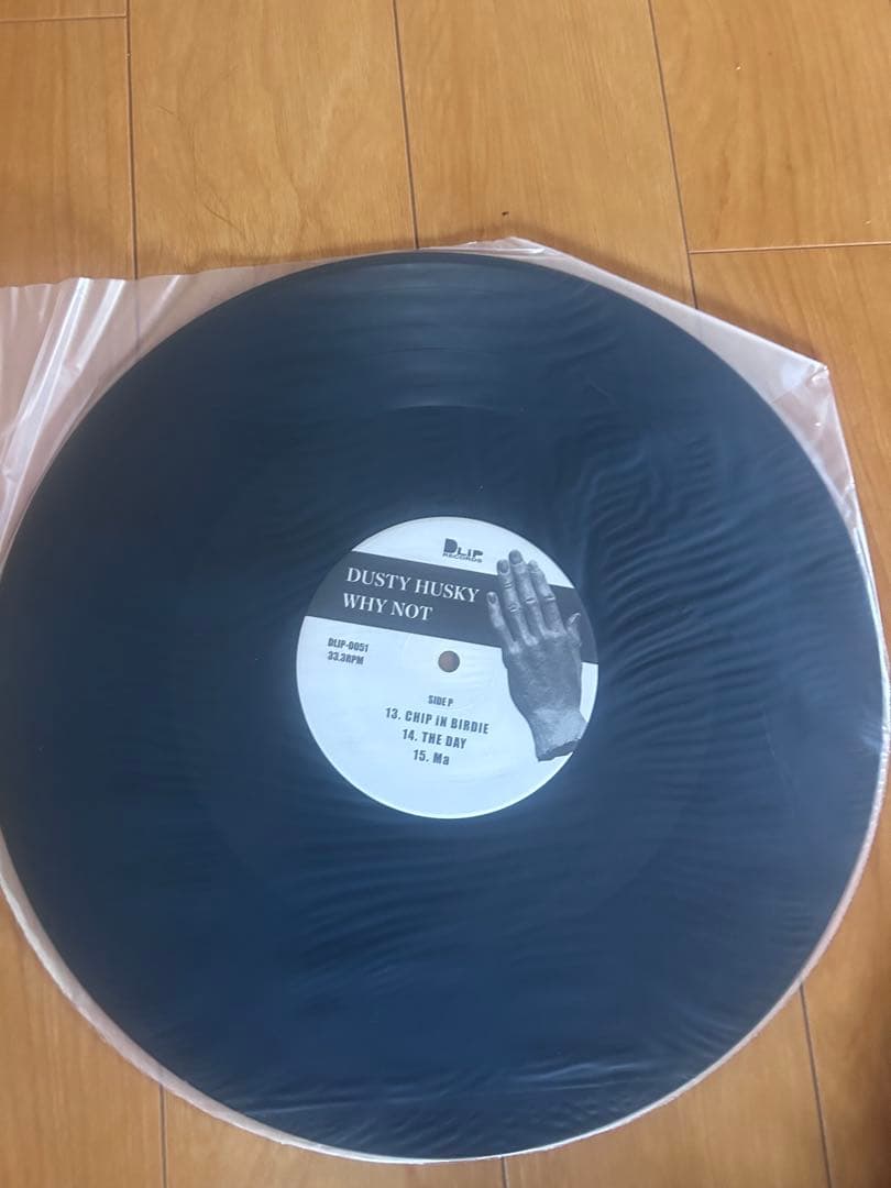 dusty husky why not 新品レコード
